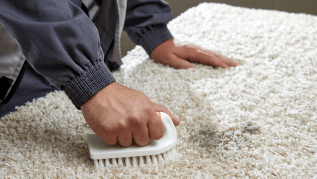 Professional Rug Cleaning Hamlyn Heights